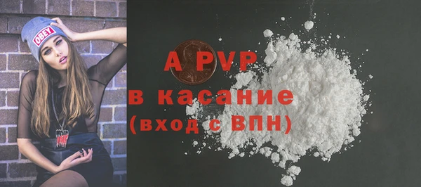 соль ск Ельня