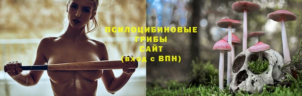 МДМА Елизово