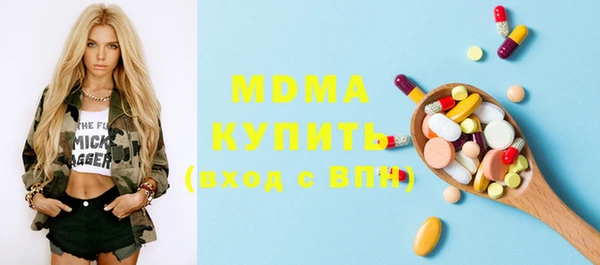 соль ск Ельня