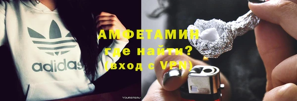 соль ск Ельня