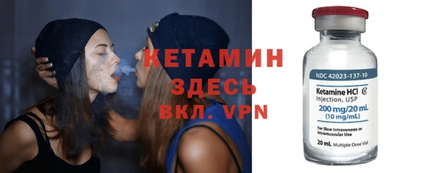 соль ск Ельня