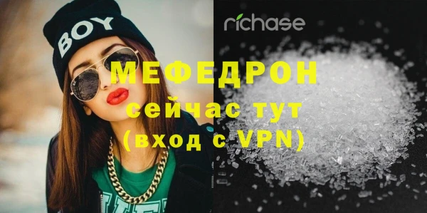 соль ск Ельня