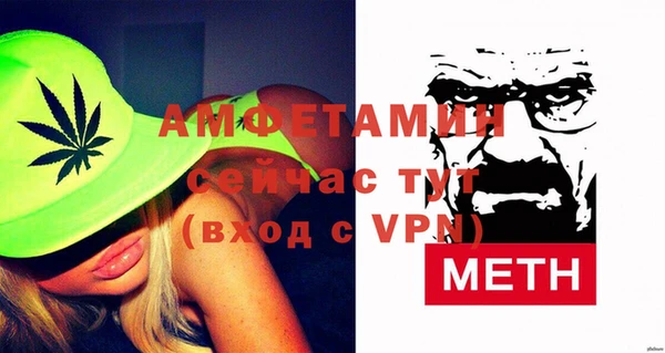соль ск Ельня